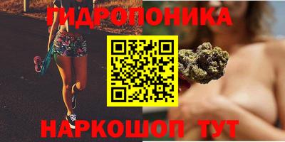 спиды Краснодар