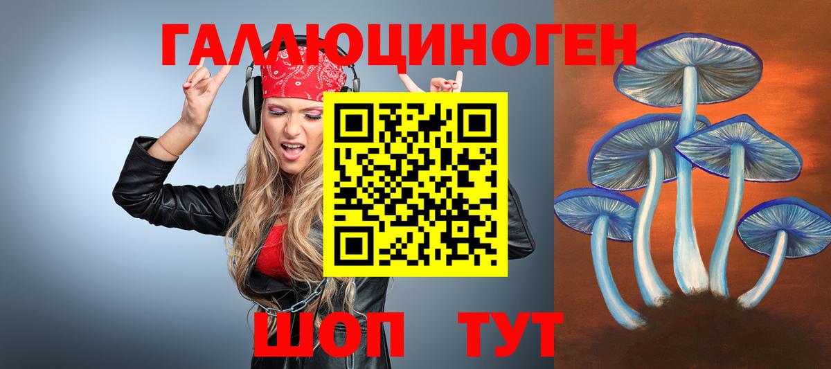 Псилоцибиновые грибы Psilocybe Коряжма